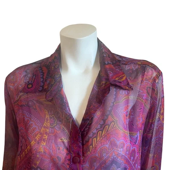 Vintage Barbara Lesser  Sheer Tunic Blouse Size XL - Picture 3 of 9